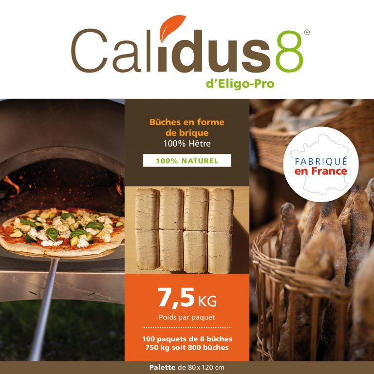 15_Calidus8_exe3